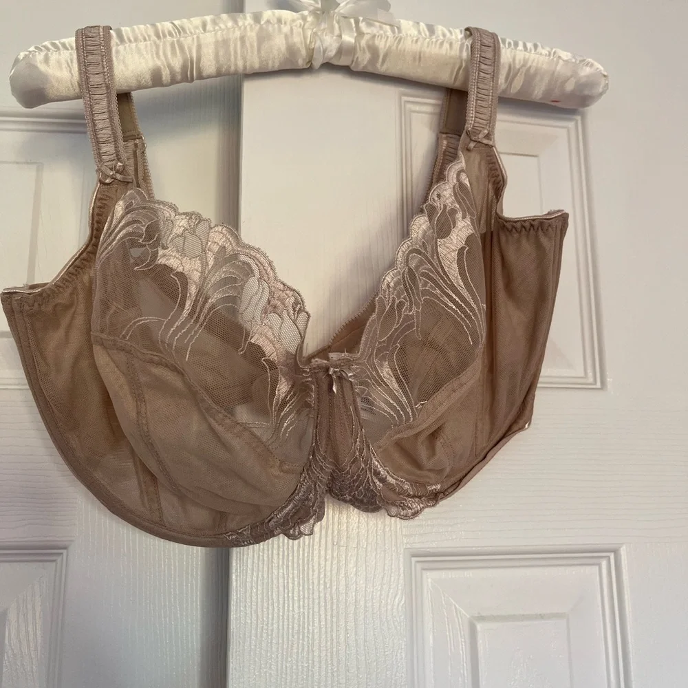 Panache Dahlia in nude side 36G stunning and very hard to find - Picture 3 of 7